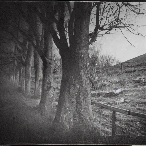 Image similar to old photo of a creepy landscape, scary figure in the distance