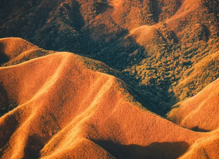 Image similar to symmetry!! a 2 8 mm macro tilt shift aerial view of a beautiful lush mountain range, photography, film, film grain, canon 5 0 mm, cinematic lighting, golden hour, hazy,