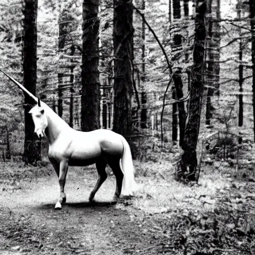 Image similar to unicorn caught on camera in the 1 9 5 0 s, black and white, in a forest