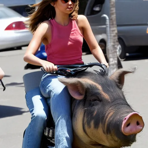 Image similar to sarah hyland riding on the back of a pig in traffic