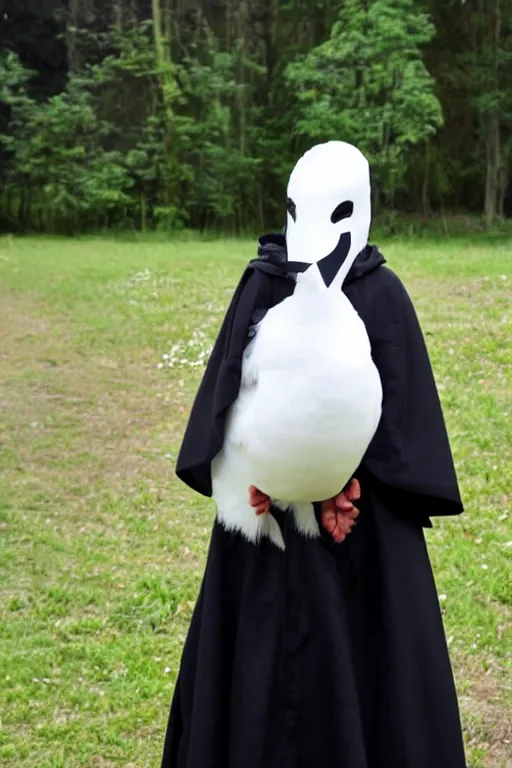 Image similar to a young adventurer wearing a white bird mask and a black cloak.