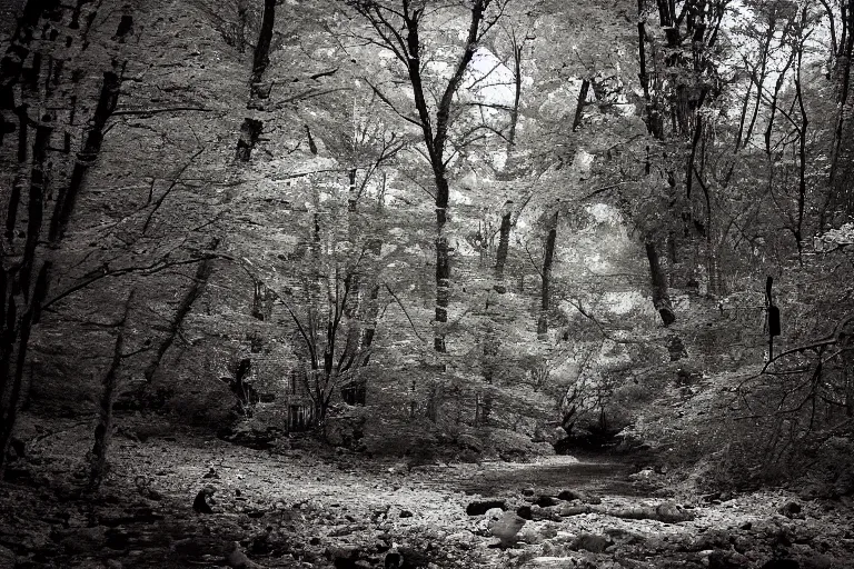 Prompt: infrared night vision trail cam of a blurry monster creeping through a creek