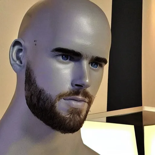 Image similar to “ a realistic detailed photo of a guy who is an attractive humanoid who is half robot and half humanoid, who is a male android, actor liam hemsworth, shiny skin, posing like a statue, blank stare, at the museum, on display ”