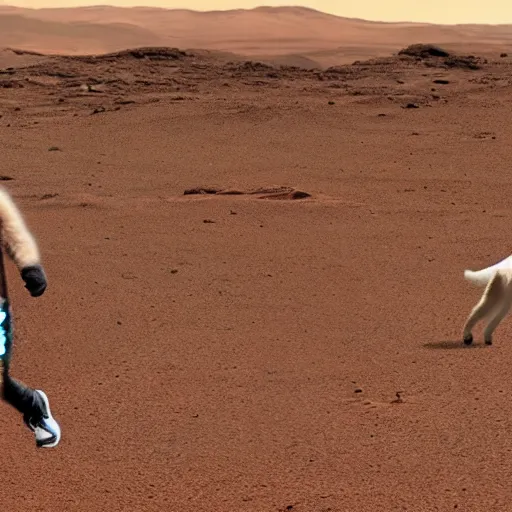 Image similar to a realistic photography of Elon Musk walking a Shiba Inu dog on Mars, beautiful space, interstellar, 8k