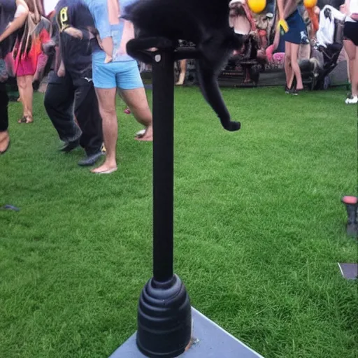 Image similar to black cat doing pole dance