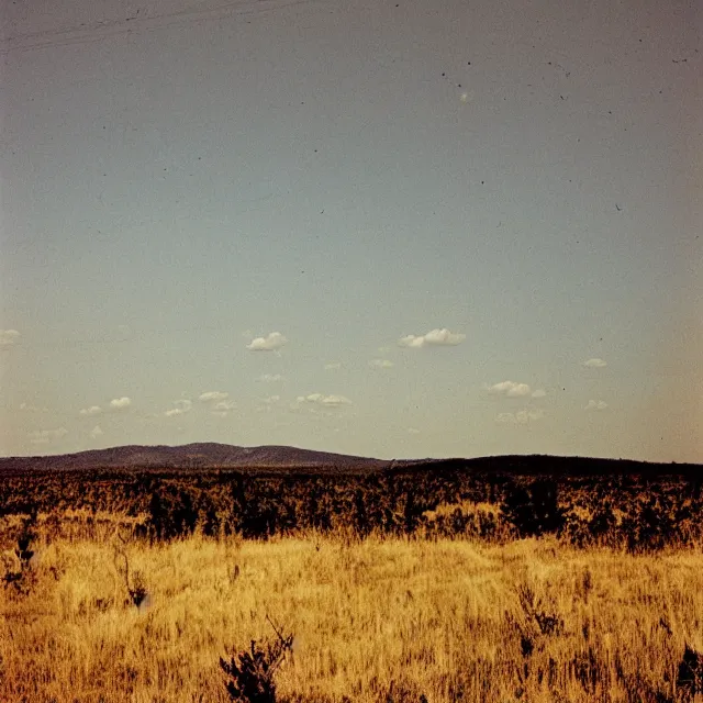 Image similar to the end of the world, photo by william eggelston