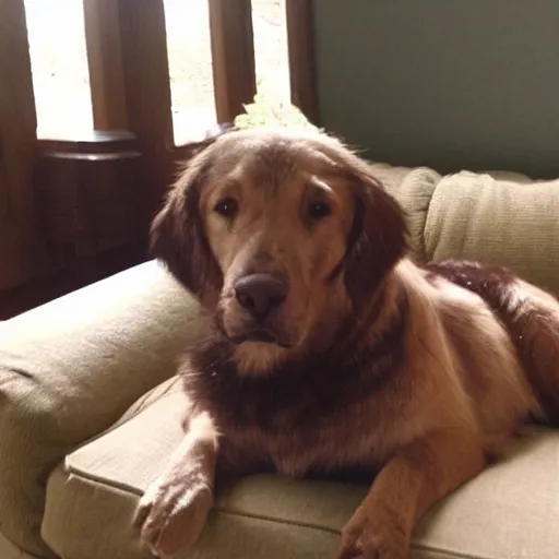 Image similar to older handsome lord is sitting gracefully on a sofa