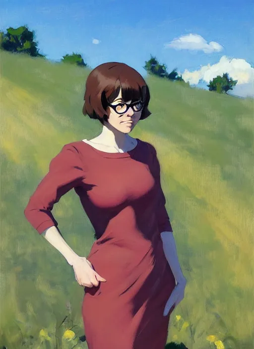 Image similar to Greg Manchess painting of grown-up Velma Dinkley, winged eyelashes, countryside, calm, fantasy character portrait, dark outlines, dynamic pose, above view, sunny day, artwork by Makoto Shinkai, very coherent asymmetrical artwork, sharp edges, perfect face, simple form, 100mm