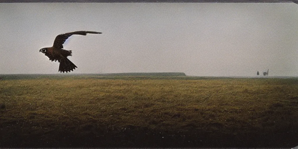 Image similar to detailed medium format photo, polaroid still from tarkovsky movie, a falcon escapes the falconer, haze, high production value, intricate details, 8 k resolution, hyperrealistic, hdr, photorealistic, high definition, tehnicolor, award - winning photography, masterpiece, amazing colors