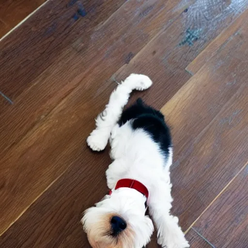 Prompt: iphone portrait picture of a foxterrier puppy, he is laying down in a hardwood floor kitchen, feet in the background