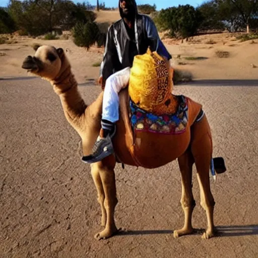 Image similar to snoop dogg riding a camel