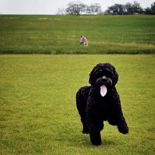 Prompt: “a man riding a huge Portuguese Water Dog across a field”