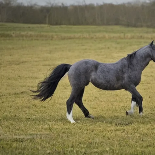 Prompt: photo of a horse - rat hybrid