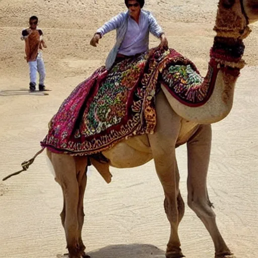 Prompt: Shahrukh Khan as a camel