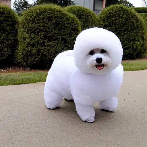 Image similar to a photo of a person wearing a bichon frise costume