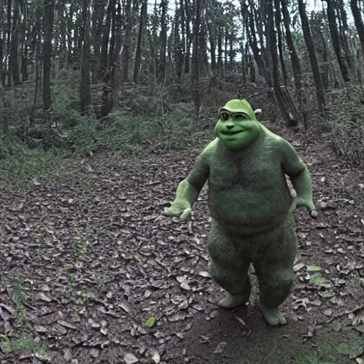 Image similar to Shrek caught on trail cam, night, trail camera footage, wide angle lens, night vision, grainy