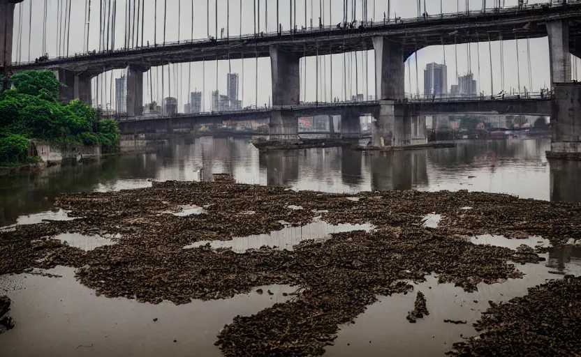 Prompt: a photo of wuhan covered in giant virus and disgusting maggots, slimy river, decrepit bridge, cinematic, 8 k, disturbing, horror, highly detailed