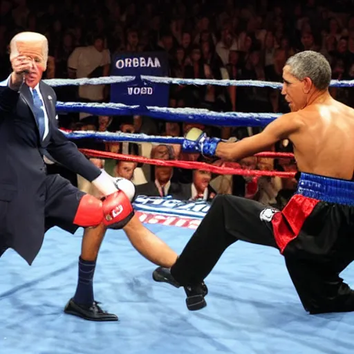 Image similar to obama boxing joe biden, photo, mid fight, intense