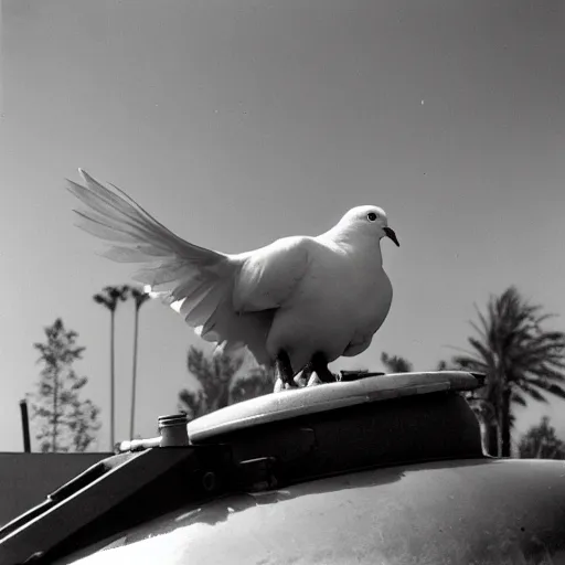 Image similar to high quality large format photograph of a white dove sitting on a tank during war