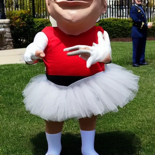 Image similar to donald trump in a tutu,