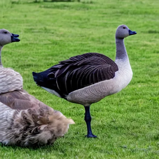 Image similar to a goose taking a covid test