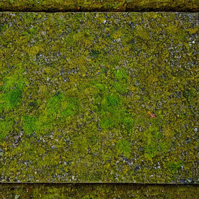 Image similar to Photo of mossy stone pavement shot from tripod above