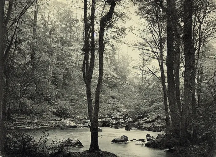 Image similar to Overlook of a river flowing through a tarot card forest, albumen silver print by Timothy H. O'Sullivan.