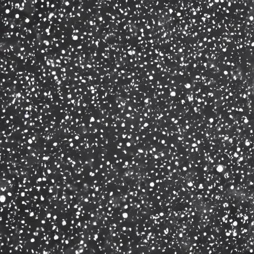 Prompt: dust particles on a black background