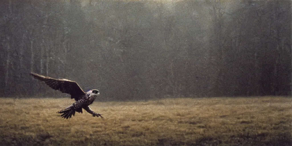 Prompt: detailed medium format photo, polaroid still from tarkovsky movie, a falcon escapes the falconer, haze, high production value, intricate details, 8 k resolution, hyperrealistic, hdr, photorealistic, high definition, tehnicolor, award - winning photography, masterpiece, amazing colors