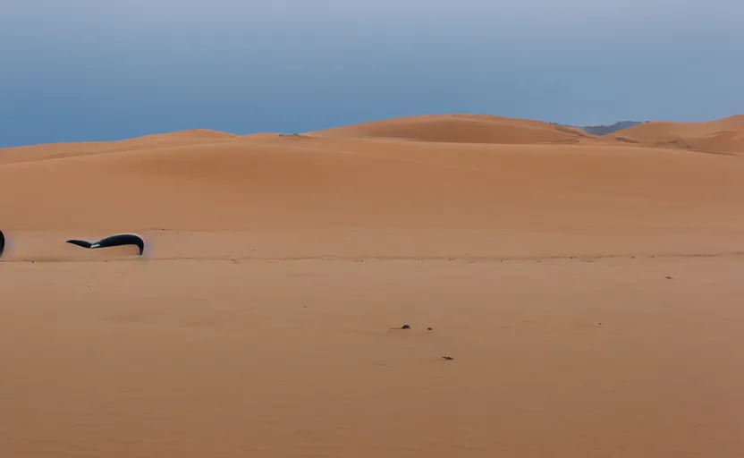 Image similar to standing whales in sand dunes, photography