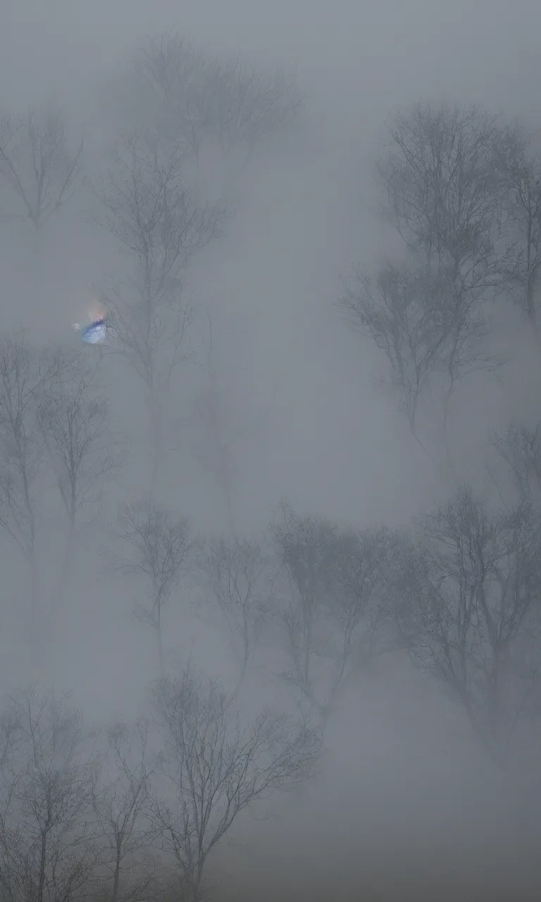 Prompt: photo of transparent Bathochordaeus billowing its layered strate, depth of field, solidifying from the fog