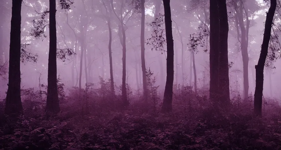 Image similar to a magical iradescent forest, thick fog, fireflies flying, big glowing trees, epic lighting, cinematic 4K