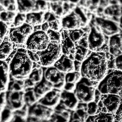 Prompt: sorrow intense likely, sense of decay given, throw into the abyssal despair, various refining techniques, micro macro auto focus - n 8