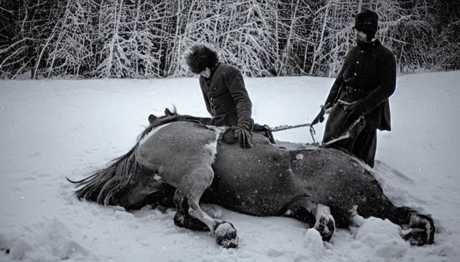 Prompt: 1 9 6 0 s movie still close up of marcus aurelius frozen to death with his horse under the snow by the side of a river with gravel, pine forests, cinestill 8 0 0 t 3 5 mm b & w, high quality, heavy grain, high detail, texture, dramatic light, anamorphic, hyperrealistic, detailed hair, foggy