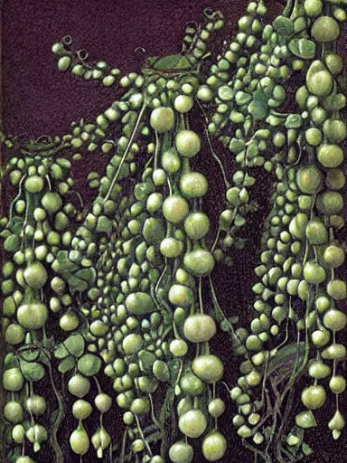 Prompt: The Hanging-Gardens of Pareidolia, ivy, (((((string-of-pearls))))), verbena and pothos growing facial features and optical-illusions!!!!!, aesthetic, by Johfra Bosschart in the style of Gerald Brom,