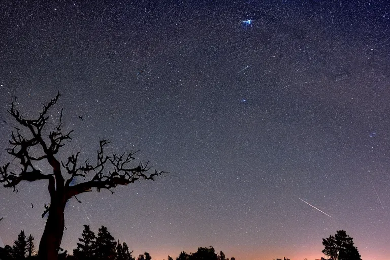 Prompt: a night sky photo during a heavy perseid meteor shower. a withered tree is in the foreground. a very detailed 4 k space photo. sence of awe, featured on flickr