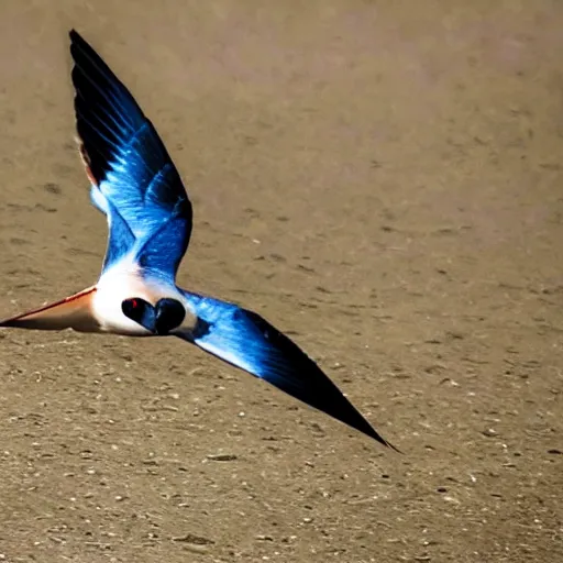 Image similar to photo of an african swallow mid flight carrying a coconut