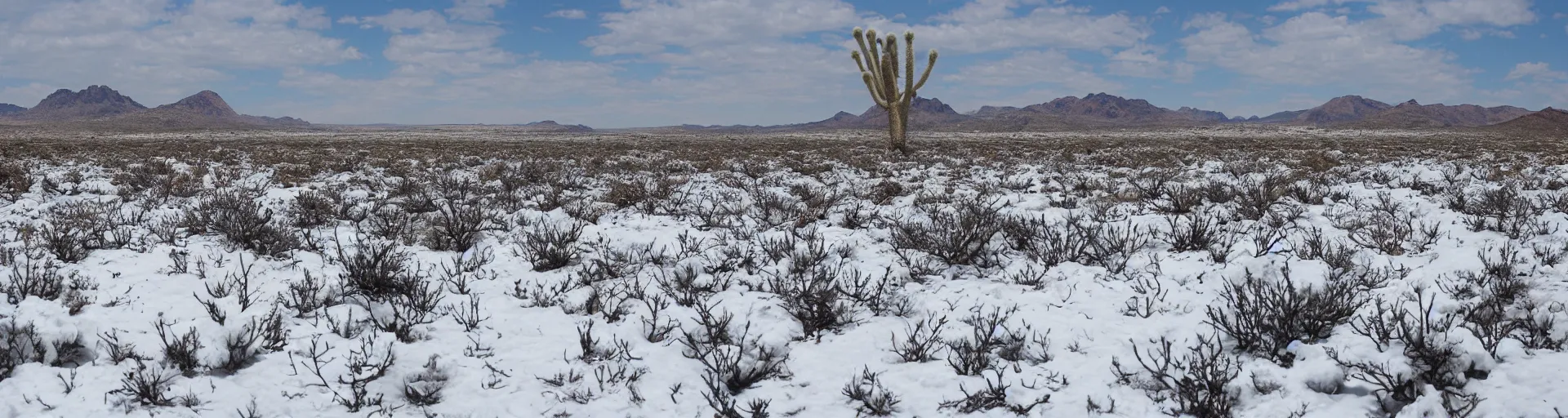 Prompt: a desert of snow