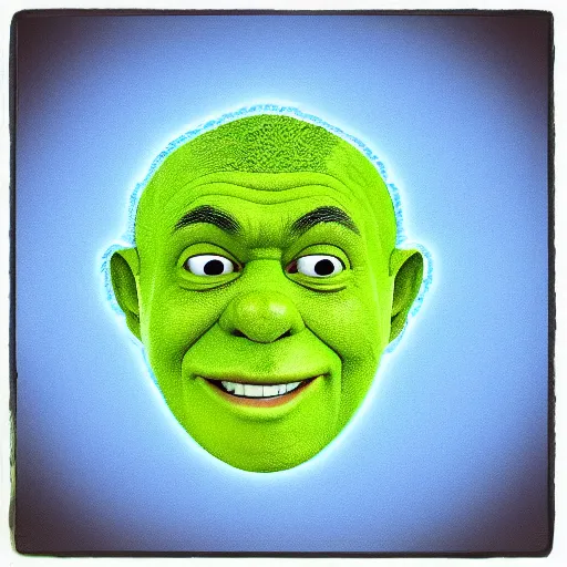 Image similar to shreck head MRI