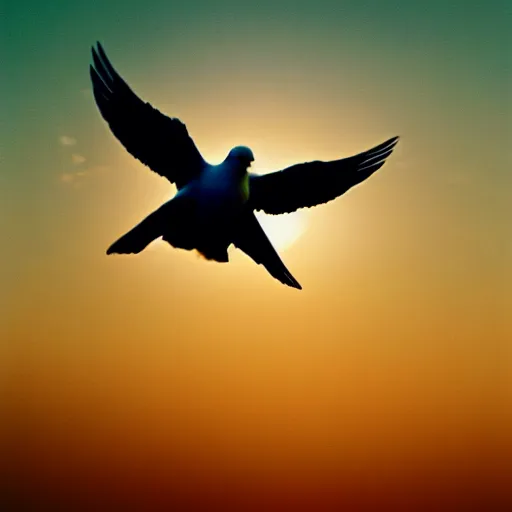 Image similar to Close-up realistic shot of a radiant white dove flying over the clouds at sunset, ethereal, vintage photograph, film grain, surreal, awe-inspiring, highly detailed, blue and orange color scheme