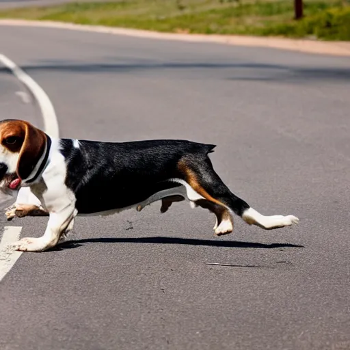 Image similar to beagle dog getting ran over by a car