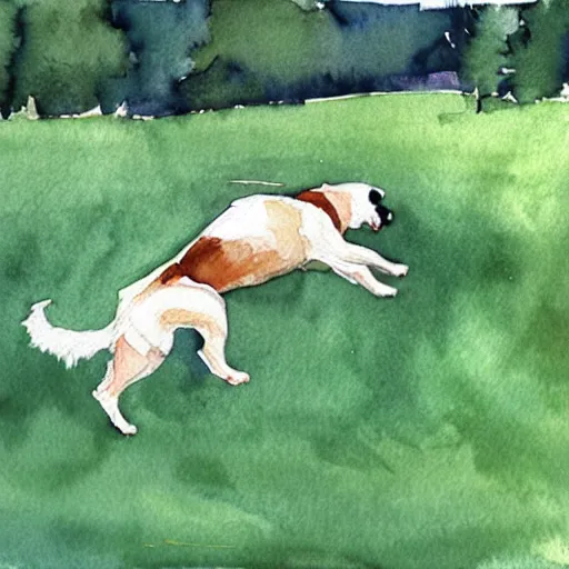 Image similar to a dog jumping to catch a frisbee in a field, watercolor