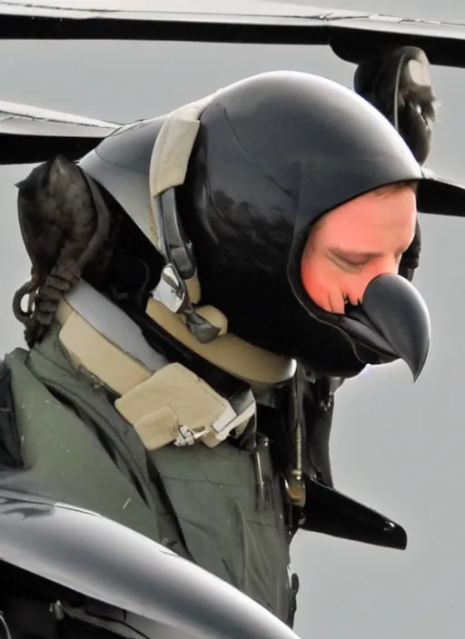 Image similar to a jet pilot with a crow head