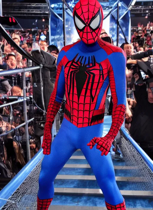 Image similar to spiderman entering entrances ramp of smackdown!