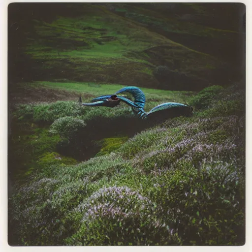 Image similar to polaroid photo of a sea serpent in the heather on the north yorkshire moors