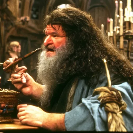 Image similar to Robin Williams playing Hagrid in Harry Potter, screenshot