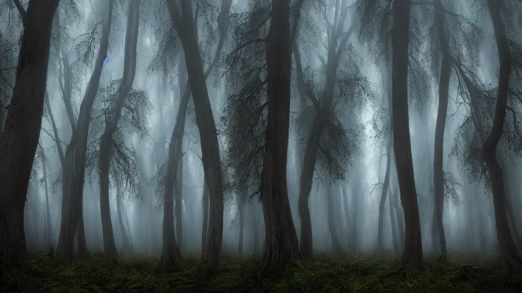 Image similar to incredible trees in a forest marc adamus, beautiful dramatic lighting
