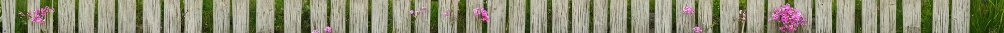 Image similar to wooden fencing with a few small flowers