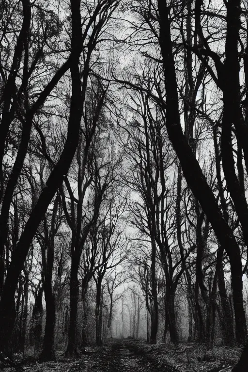 Prompt: dark ominous forest, with trees with a human face,,