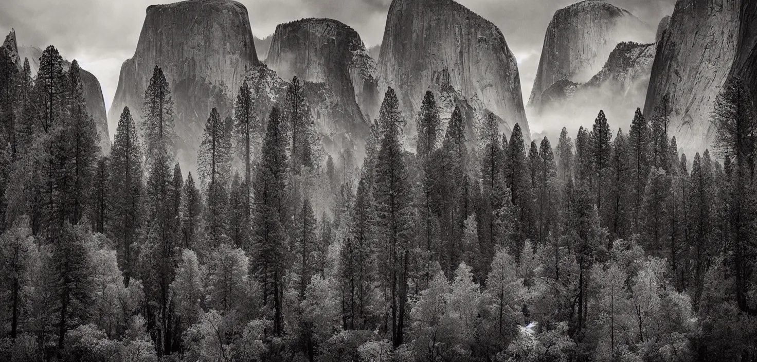 Image similar to amazing landscape photo of yosemite by john muir, award winning, beautiful dramatic lighting